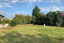 平川废寺迹景点图片