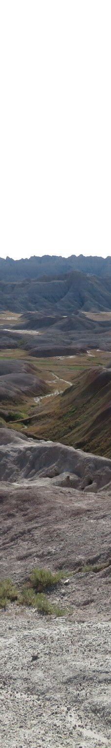 Conata Basin Overlook-科纳塔