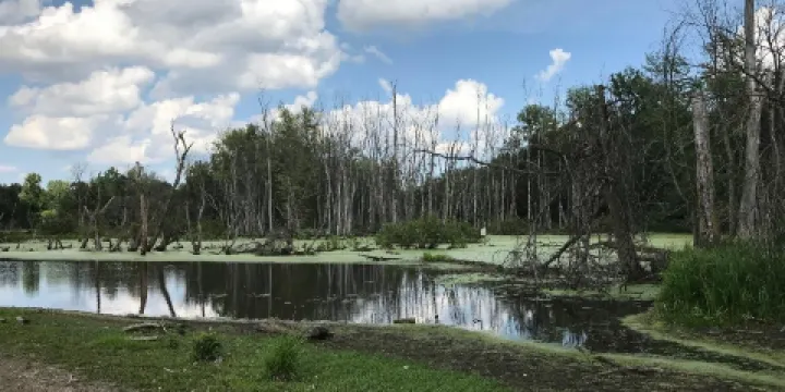Eagle Marsh Nature Preserve