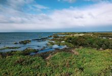 Jawbone Flora and Fauna Reserve景点图片