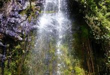 Waterfalls Inn Tigoni美食图片