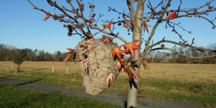 Benjamin Rush State Park