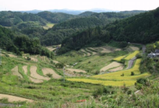 Kamimom, Terraced Rice Fields景点图片