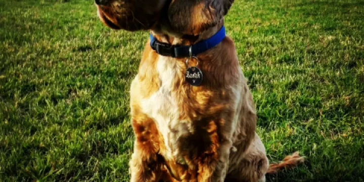 De Beaurepaire Wines