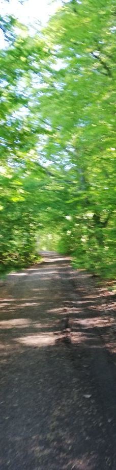 Pikkerbakken-腓特烈港