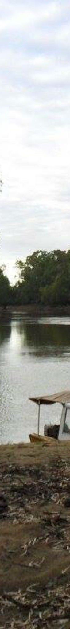 Murrumbidgee Junction Reserve-巴尔兰纳德