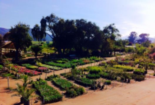 Jardin Suizo购物图片