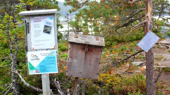 Svartfjellet