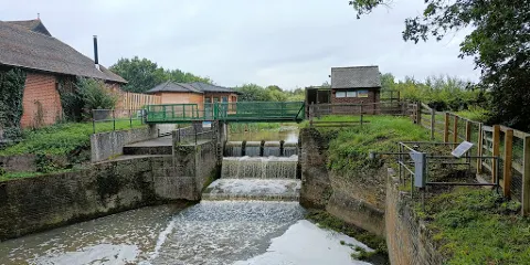 Warnham Local Nature Reserve