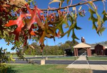 Calvary United Methodist Church景点图片