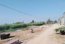 کرکٹ گراونڈ景点图片