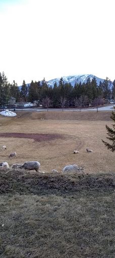 Playground-镭温泉