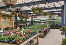 Victoria Garden Centre购物图片