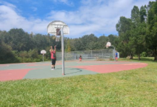 Bloomingdale Hills Park景点图片