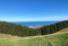 Te Oka Reserve Track- Start Point景点图片