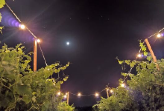 Azienda Agricola Biologica Donato Giangirolami景点图片