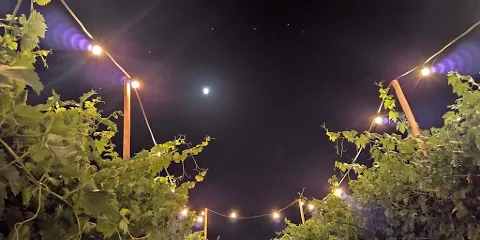 Azienda Agricola Biologica Donato Giangirolami