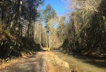 Fishing Creek Nature Preserve景点图片