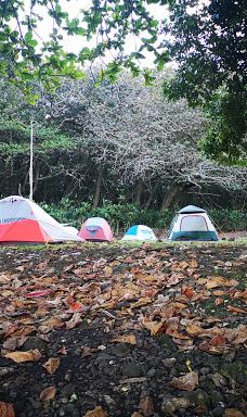 Waianapanapa Campground-哈纳