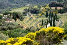 Point de vue de Suzette景点图片