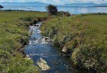 Ytrebyfjæra景点图片