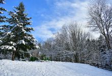 Mill Creek Community Assoc's Nature Preserve (Private)景点图片