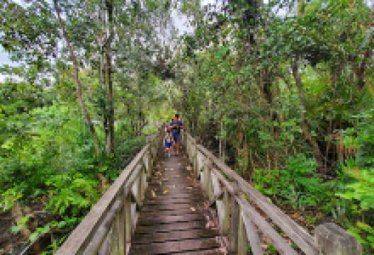 Limbang Mangrove National Park景点图片