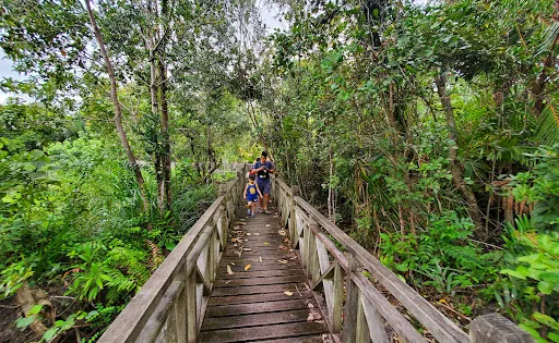 Limbang Mangrove National Park