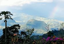 Finca La Antonia景点图片