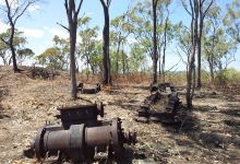 Palmer Goldfield Resources Reserve景点图片