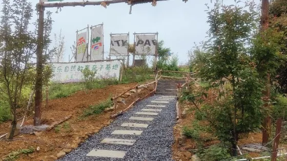 朗朗可樂山野露營基地