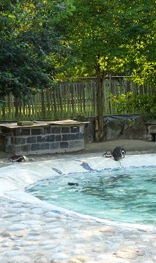 Zoo Kosice-科希策1区