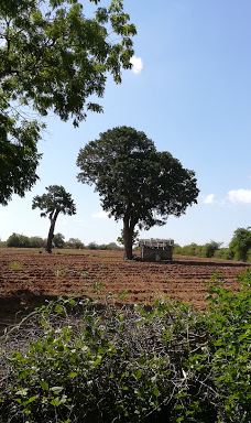 Yoda Lake-汉班托特