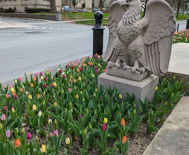 Roswell P. Flower Monument