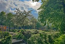 Hedemarkens Legeplads景点图片