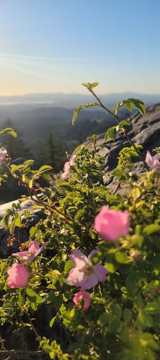 Spencer Butte Trailhead-雷恩县
