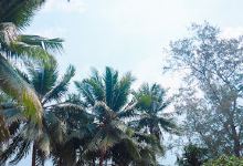 Kaoh Tang景点图片