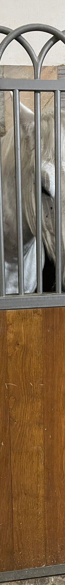 克里斯蒂安堡宫-哥本哈根