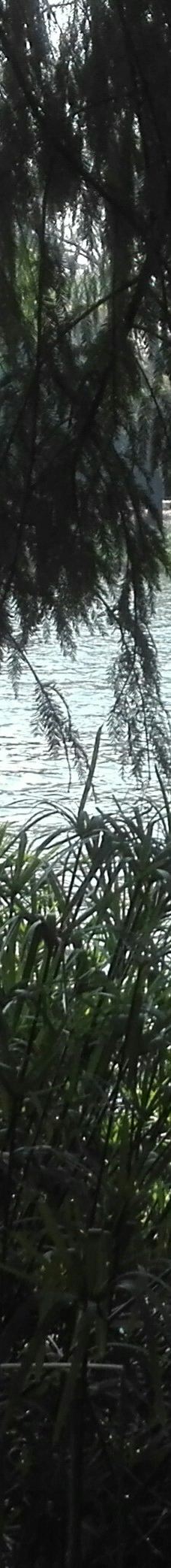 约翰内斯堡植物园-兰德堡