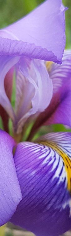 Jardin Botanico Marimurtra-布拉内斯