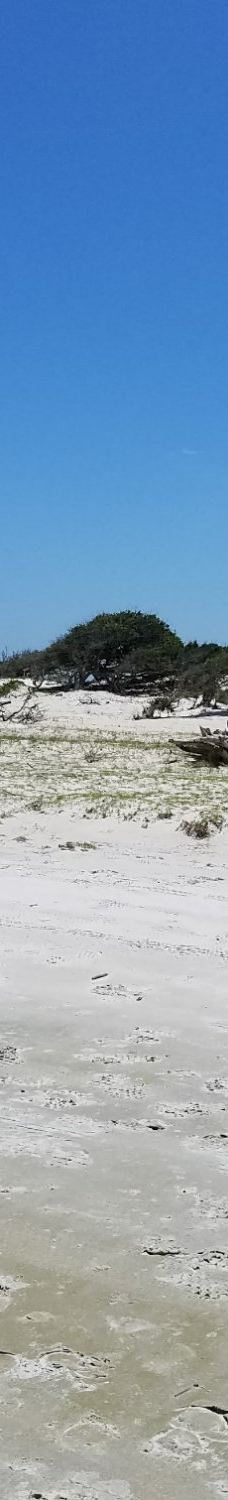 Cedar Island National Wildlife Refuge-拉合尔
