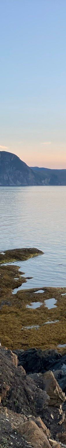 Lobster Cove Head Lighthouse-洛基港