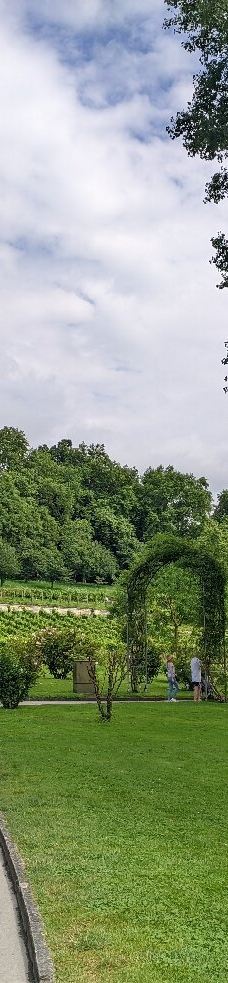 迈瑙岛-康斯坦茨