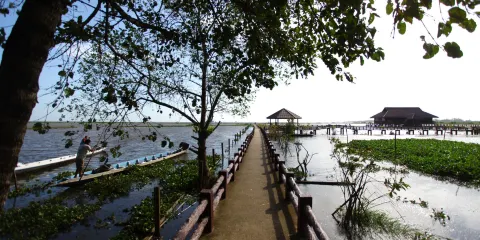 Thale Noi Waterbird Park