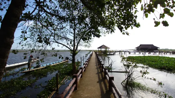 Thale Noi Waterbird Park