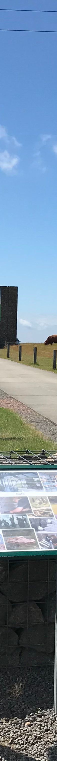 Naturbornholm-阿克尔科拜