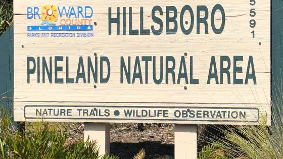 Hillsboro Pineland Natural Area