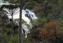 Salto do Imigrante景点图片