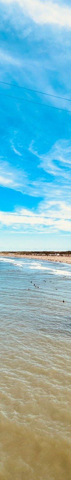 De Pier Scheveningen-斯赫弗宁恩