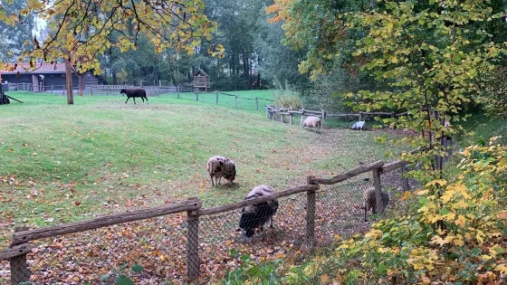Kinderboerderij Hagerhof